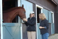 Hulman George and King stand at a stall petting the head of a horse.